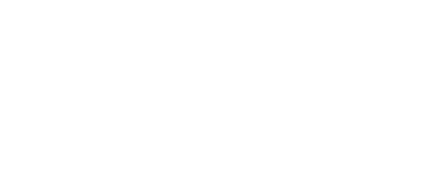 Anek logo