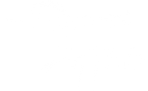 Secret Love Affair logo