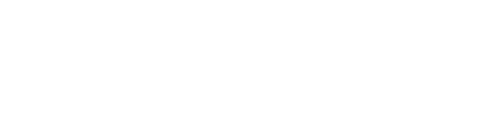 Un Noël tombé du ciel logo