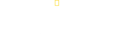 Les Secrets des manchots logo