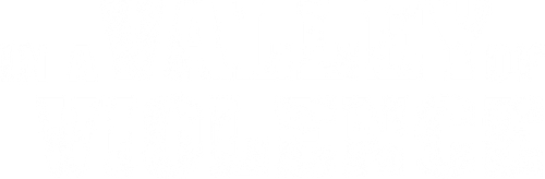 In a Valley of Violence logo