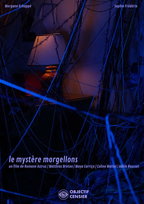 Le Mystère Morgellons