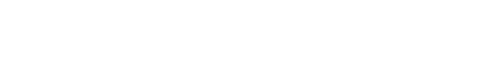 Native Son logo