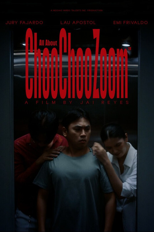 All About ChooChooZoom