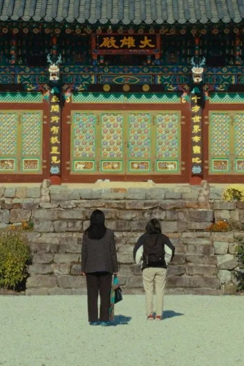 The Mountain Between Us