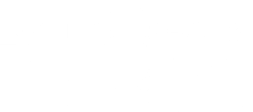 Les Nouveaux Héros logo