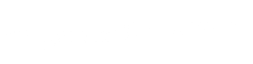 Practically Yours logo