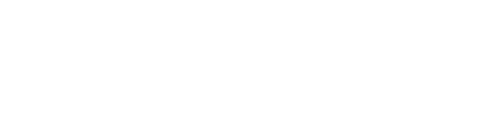 Lies logo