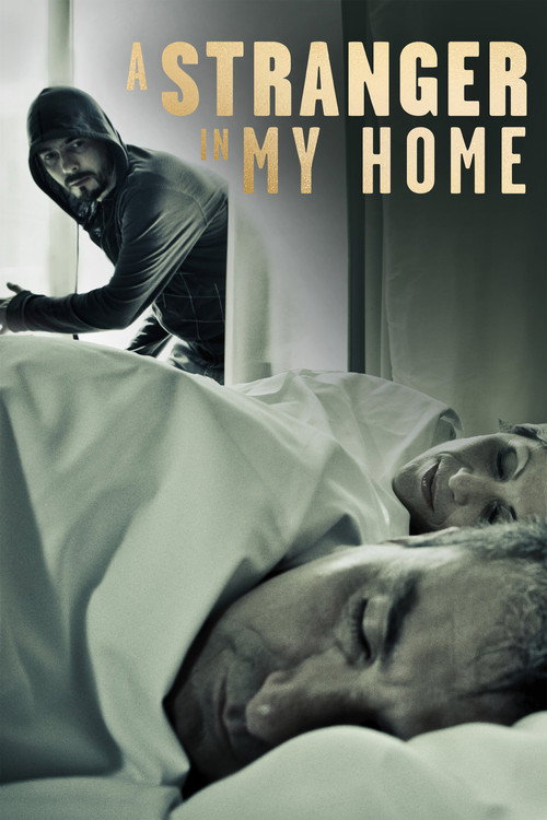 A Stranger in My Home