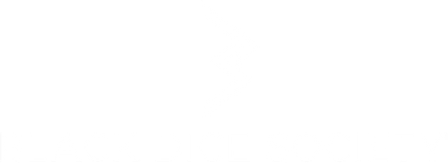 Black Dice Society logo