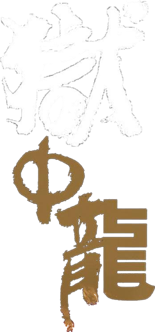 Dragon in Jail logo