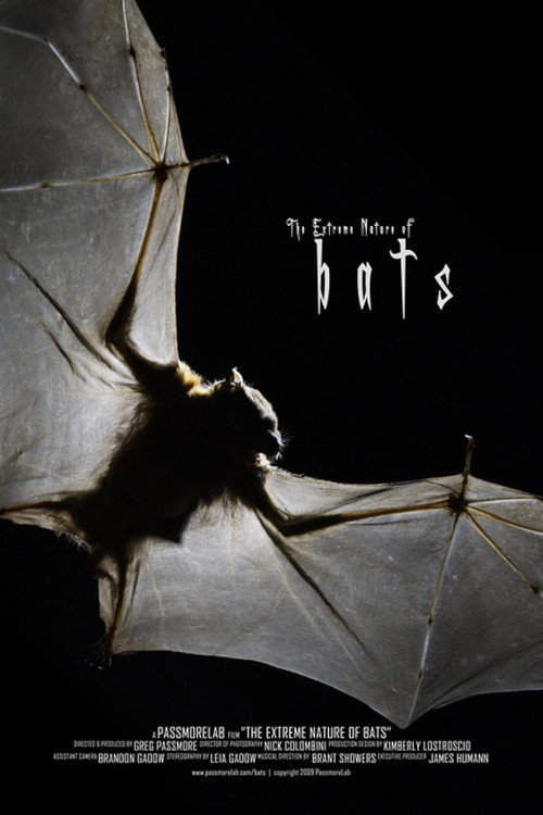 Bats