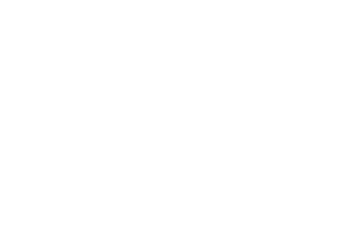 Selena : La série logo