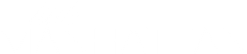 Little Manhattan logo