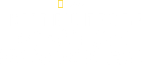 Inside the Hunt for the Boston Bombers logo