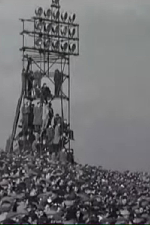 Notts County v York City