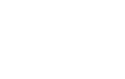The Alabama Solution logo