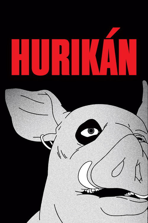 Hurikán