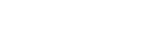 Ossan's Love: In the Sky logo