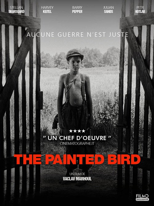 L'Oiseau bariolé