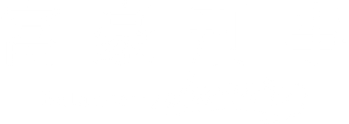 The Millionaire Detective logo