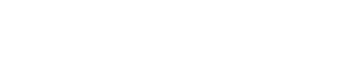 The New Year That Never Came logo