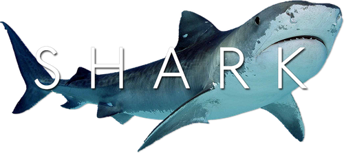 Shark logo