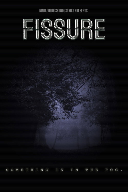 FISSURE