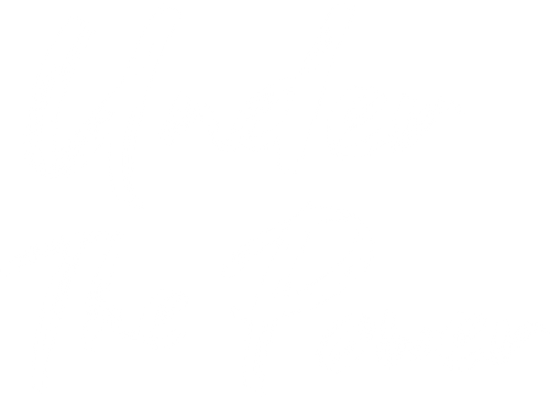 锦衣之下 logo