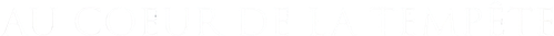 Au cœur de la tempête logo