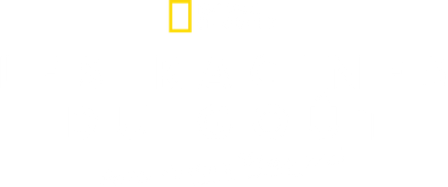 Les racines du goût avec Antoni Porowski logo