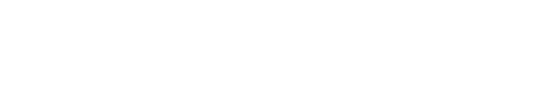 The CEO Club logo