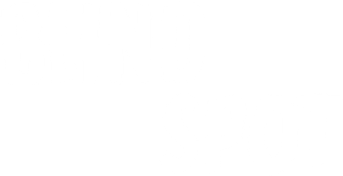 Blind Spot logo