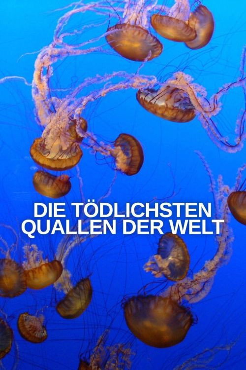 World’s Deadliest Jellyfish
