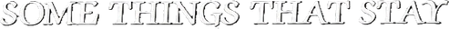 Some Things That Stay logo