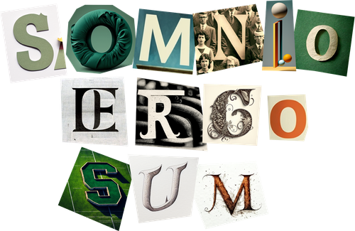 Somnio Ergo Sum logo
