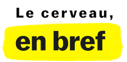 Le Cerveau, en bref logo