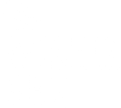 The Wiser Sex logo