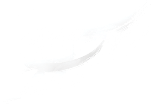 سووشون logo