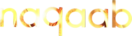 Naqaab logo