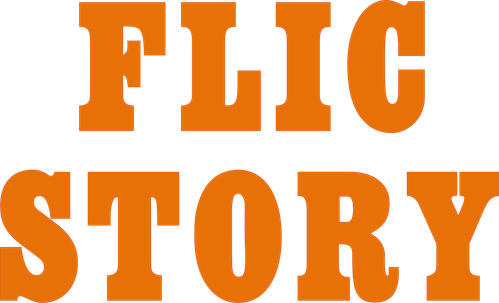 Flic Story logo