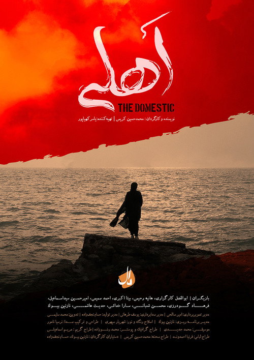 اهلی