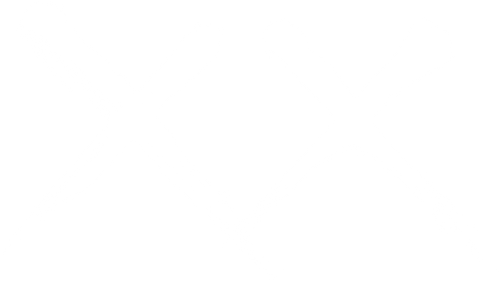 XX logo