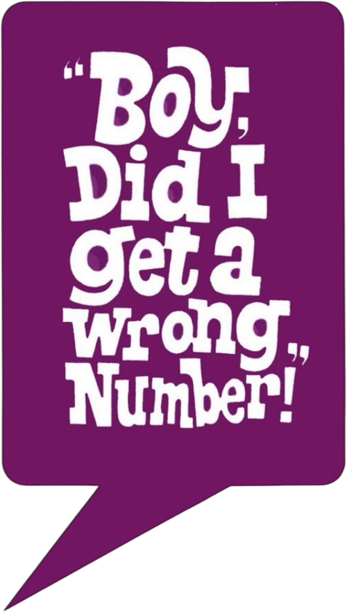 Boy, Did I Get a Wrong Number! logo