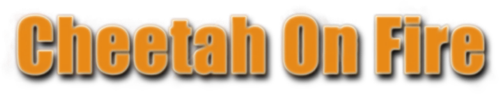 Cheetah on Fire logo