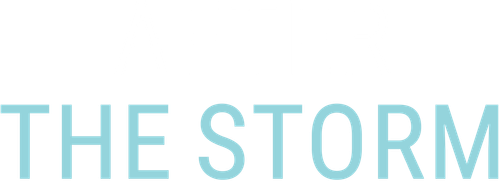 After the Storm logo