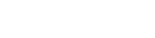 Long Shot logo