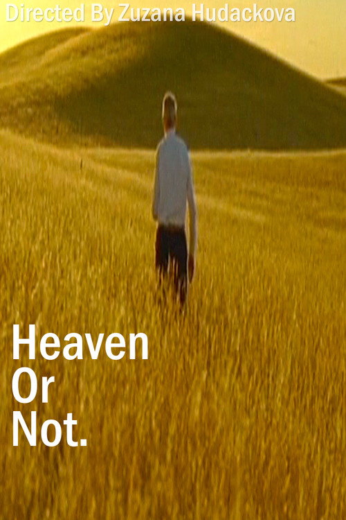 Heaven Or Not