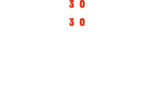 Bullies of Baltimore logo