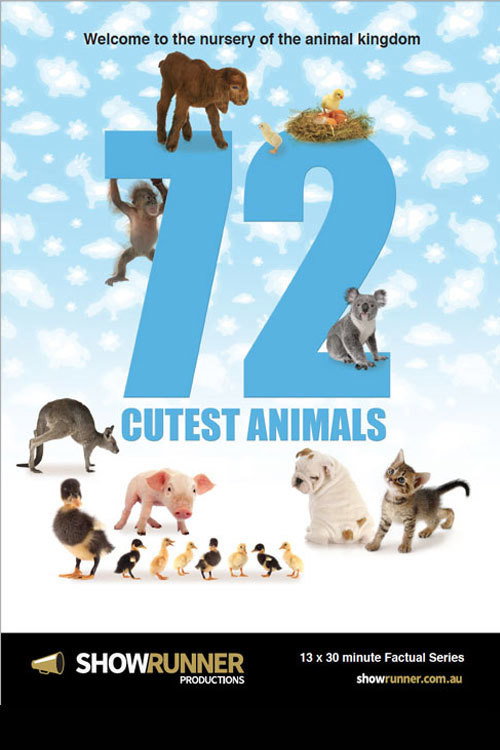72 Animaux Mignons